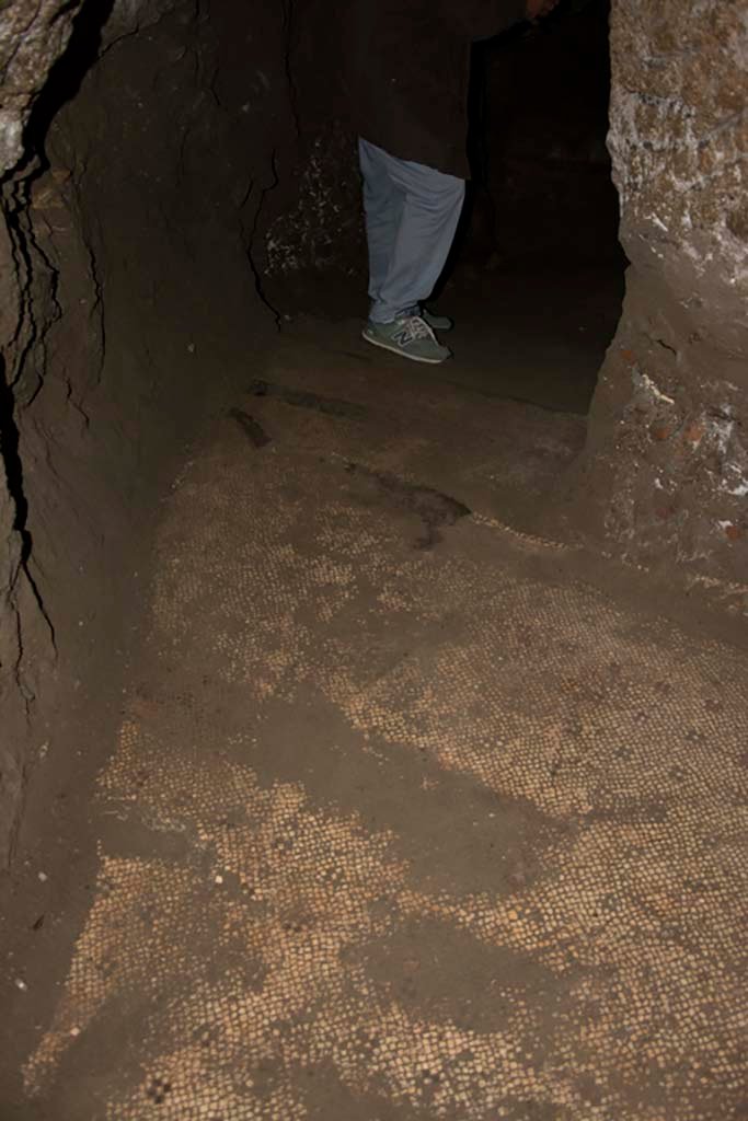 Villa dei Papiri, March 2019. Flooring in Bourbon tunnel. 
Foto Annette Haug, ERC Grant 681269 DÉCOR.
