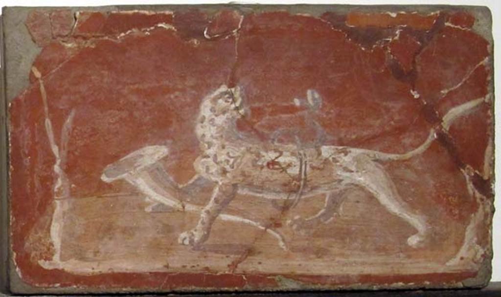 Villa dei Papiri, Herculaneum. Fresco of panther with ring and rhyton.
Now in Naples Archaeological Museum. Inventory number 8779.
